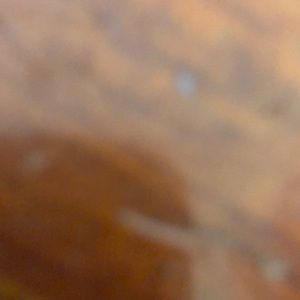 Meet your Posher, Alix